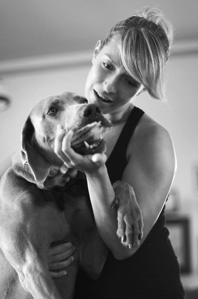 sposa con weimaraner fotografa di veronica masserdotti