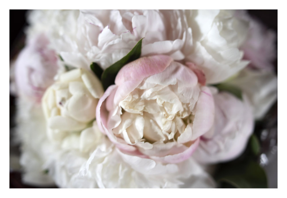 bouquet di peonie rosa Bohem